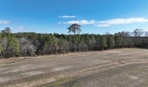 Photo #27 of Off Daniels Rd, Corapeake, NC 82.4 acres