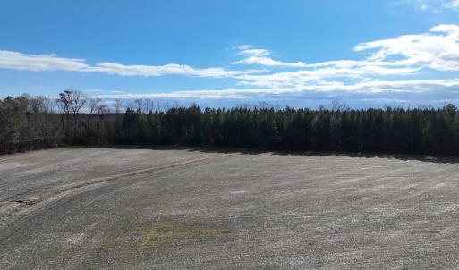 Photo #28 of Off Daniels Rd, Corapeake, NC 82.4 acres