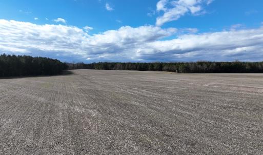 Photo #29 of Off Daniels Rd, Corapeake, NC 82.4 acres