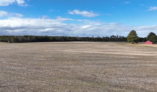Photo #30 of Off Daniels Rd, Corapeake, NC 82.4 acres