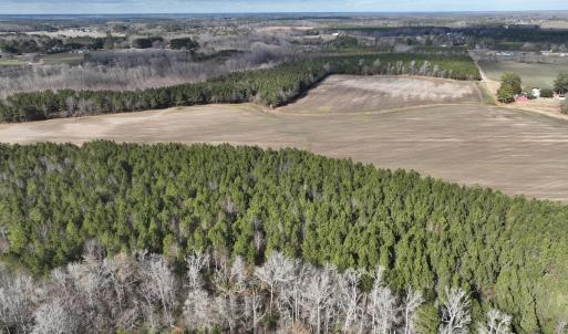 Photo #33 of Off Daniels Rd, Corapeake, NC 82.4 acres
