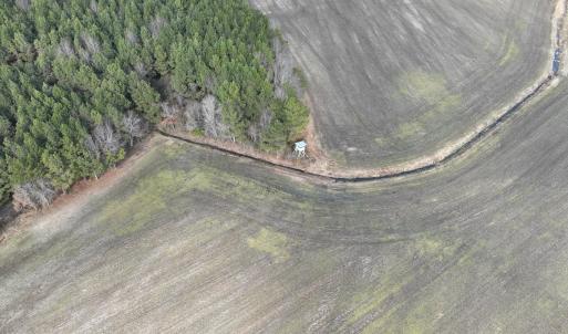 Photo #34 of Off Daniels Rd, Corapeake, NC 82.4 acres