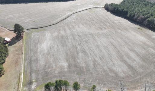 Photo #37 of Off Daniels Rd, Corapeake, NC 82.4 acres