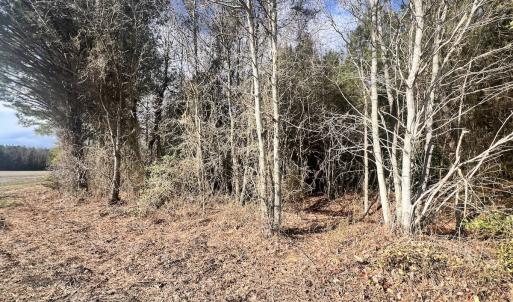Photo #38 of Off Daniels Rd, Corapeake, NC 82.4 acres