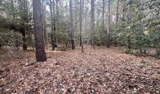 Photo #39 of Off Daniels Rd, Corapeake, NC 82.4 acres
