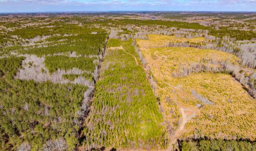 Photo #2 of Off Hicks Rd., Broadway, NC 31.1 acres