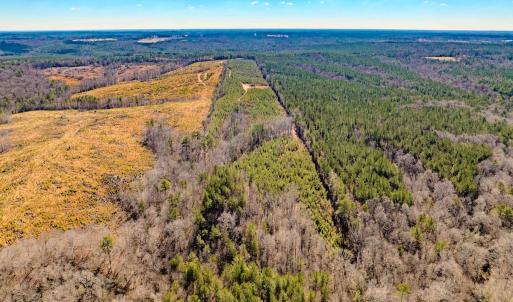Photo #3 of Off Hicks Rd., Broadway, NC 31.1 acres