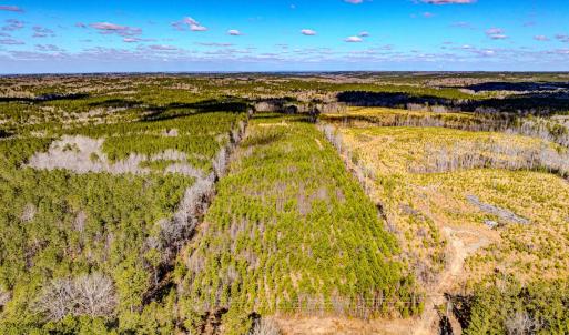 Photo #13 of Off Hicks Rd., Broadway, NC 31.1 acres