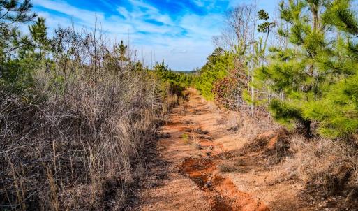 Photo #14 of Off Hicks Rd., Broadway, NC 31.1 acres