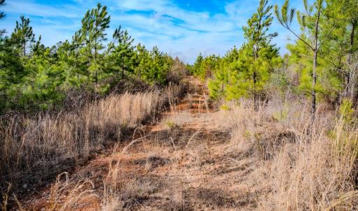 Photo #16 of Off Hicks Rd., Broadway, NC 31.1 acres