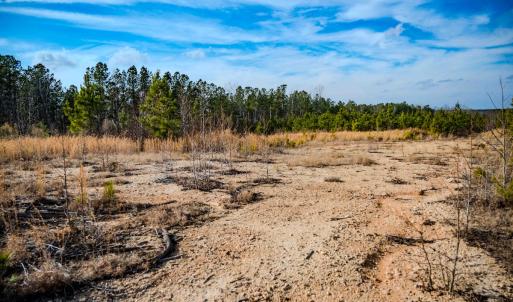 Photo #17 of Off Hicks Rd., Broadway, NC 31.1 acres