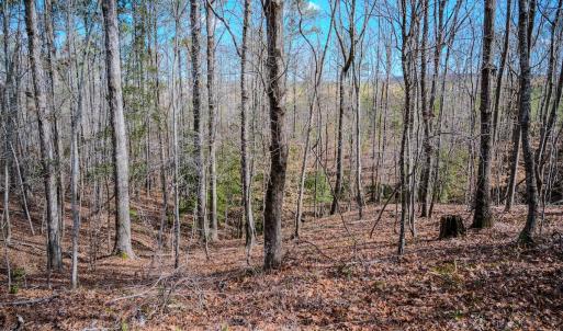 Photo #20 of Off Hicks Rd., Broadway, NC 31.1 acres