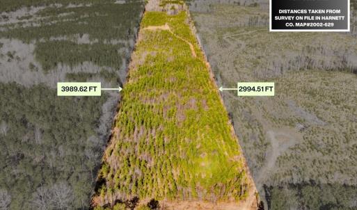Photo #4 of Off Hicks Rd., Broadway, NC 31.1 acres