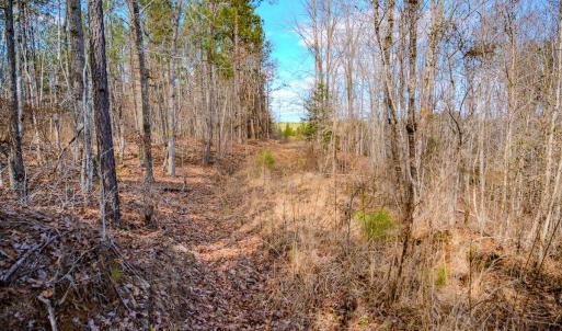 Photo #23 of Off Hicks Rd., Broadway, NC 31.1 acres