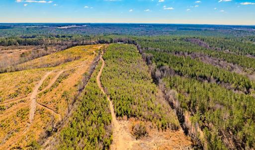 Photo #25 of Off Hicks Rd., Broadway, NC 31.1 acres