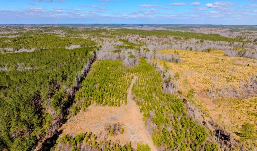 Photo #26 of Off Hicks Rd., Broadway, NC 31.1 acres