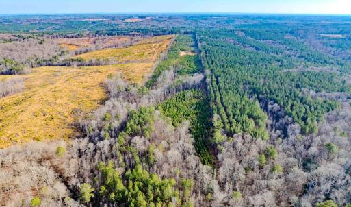Photo #27 of Off Hicks Rd., Broadway, NC 31.1 acres