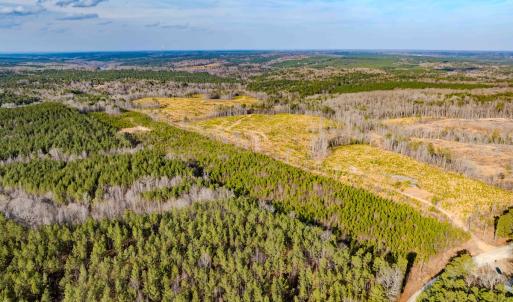 Photo #28 of Off Hicks Rd., Broadway, NC 31.1 acres