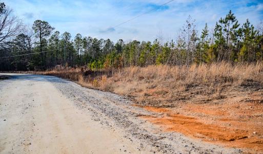 Photo #6 of Off Hicks Rd., Broadway, NC 31.1 acres