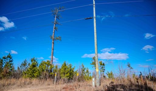 Photo #7 of Off Hicks Rd., Broadway, NC 31.1 acres