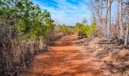 Photo #8 of Off Hicks Rd., Broadway, NC 31.1 acres