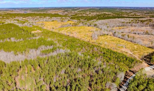Photo #10 of Off Hicks Rd., Broadway, NC 31.1 acres