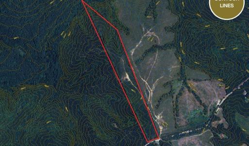 Photo #11 of Off Hicks Rd., Broadway, NC 31.1 acres