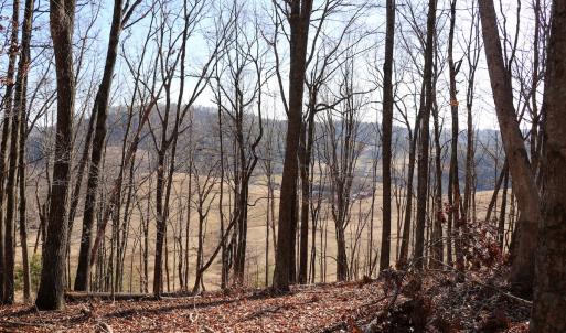 Photo #10 of Off Starmount Lane , Galax, VA 9.0 acres