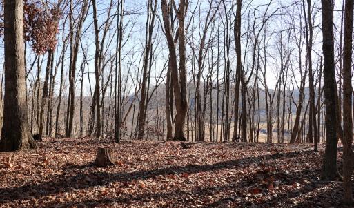 Photo #11 of Off Starmount Lane , Galax, VA 9.0 acres