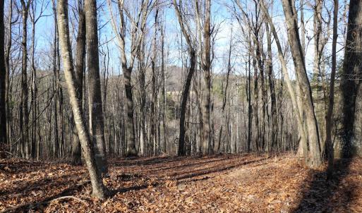 Photo #13 of Off Starmount Lane , Galax, VA 9.0 acres