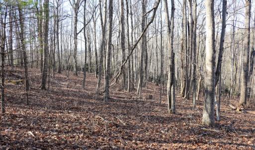 Photo #14 of Off Starmount Lane , Galax, VA 9.0 acres