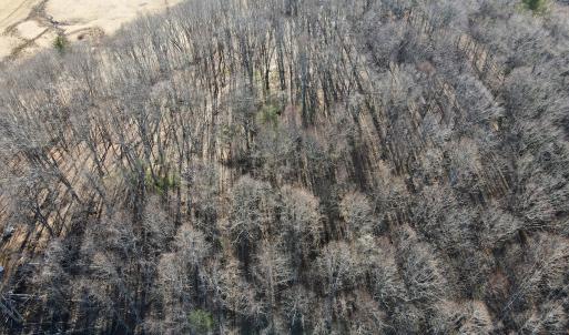 Photo #15 of Off Starmount Lane , Galax, VA 9.0 acres
