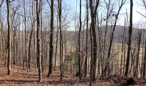 Photo #16 of Off Starmount Lane , Galax, VA 9.0 acres