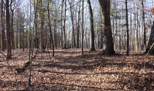 Photo #17 of Off Starmount Lane , Galax, VA 9.0 acres