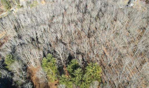 Photo #18 of Off Starmount Lane , Galax, VA 9.0 acres