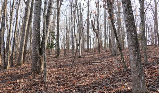 Photo #19 of Off Starmount Lane , Galax, VA 9.0 acres