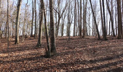 Photo #21 of Off Starmount Lane , Galax, VA 9.0 acres
