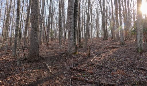Photo #22 of Off Starmount Lane , Galax, VA 9.0 acres