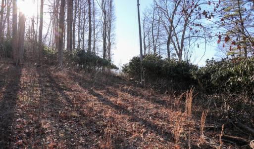 Photo #8 of Off Starmount Lane , Galax, VA 9.0 acres