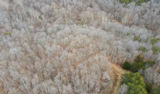 Photo #10 of Off Water Oak Road , Callands, VA 7.9 acres