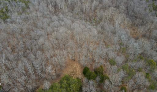 Photo #11 of Off Water Oak Road , Callands, VA 7.9 acres