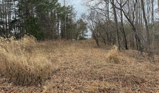 Photo #12 of Off Water Oak Road , Callands, VA 7.9 acres