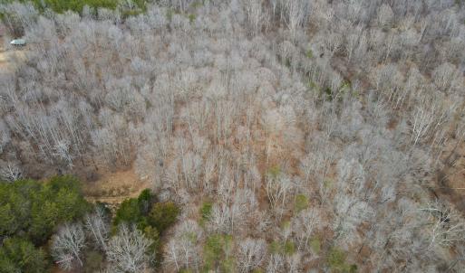 Photo #13 of Off Water Oak Road , Callands, VA 7.9 acres