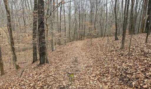 Photo #14 of Off Water Oak Road , Callands, VA 7.9 acres