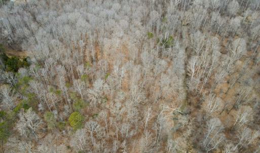 Photo #15 of Off Water Oak Road , Callands, VA 7.9 acres