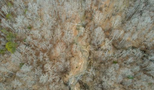 Photo #17 of Off Water Oak Road , Callands, VA 7.9 acres