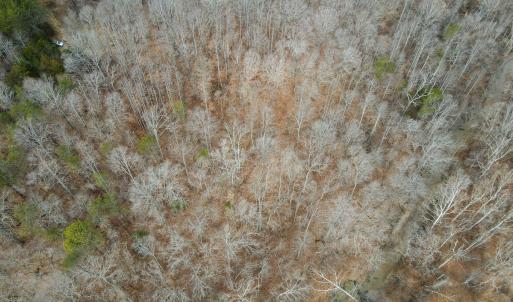 Photo #18 of Off Water Oak Road , Callands, VA 7.9 acres
