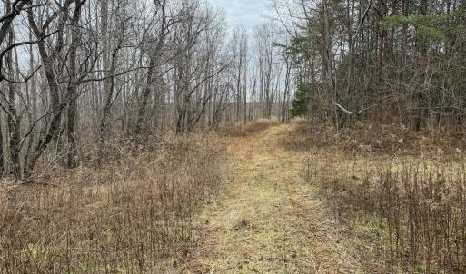 Photo #5 of Off Water Oak Road , Callands, VA 7.9 acres
