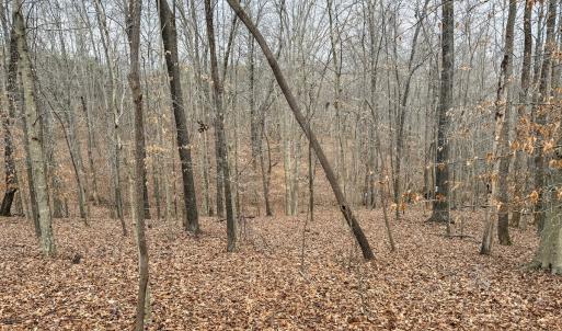 Photo #6 of Off Water Oak Road , Callands, VA 7.9 acres