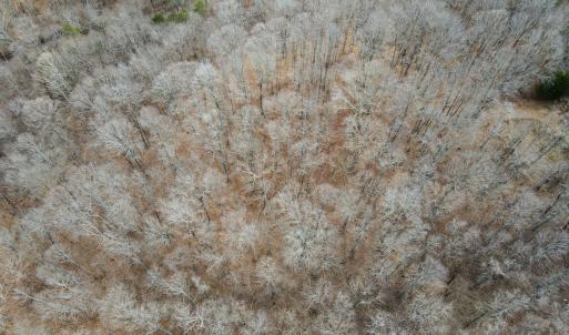 Photo #8 of Off Water Oak Road , Callands, VA 7.9 acres